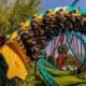 Busch Gardens Tampa Bay kumba