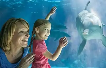 sea world orlando