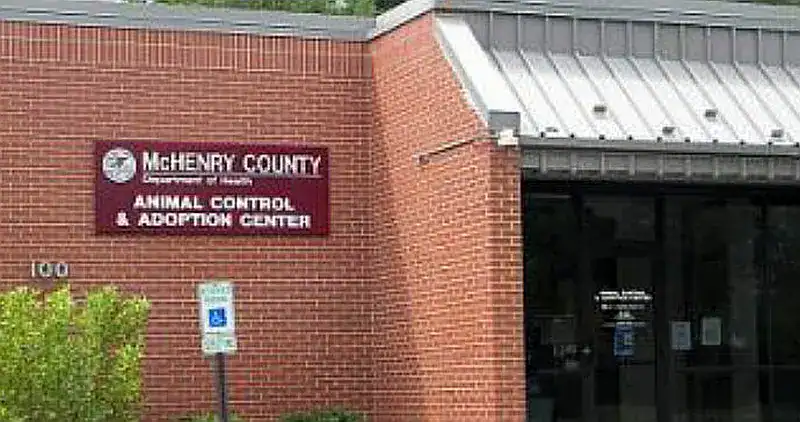 McHenry County Animal Control