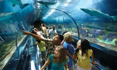 SeaWorld Orlando