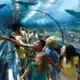 SeaWorld Orlando