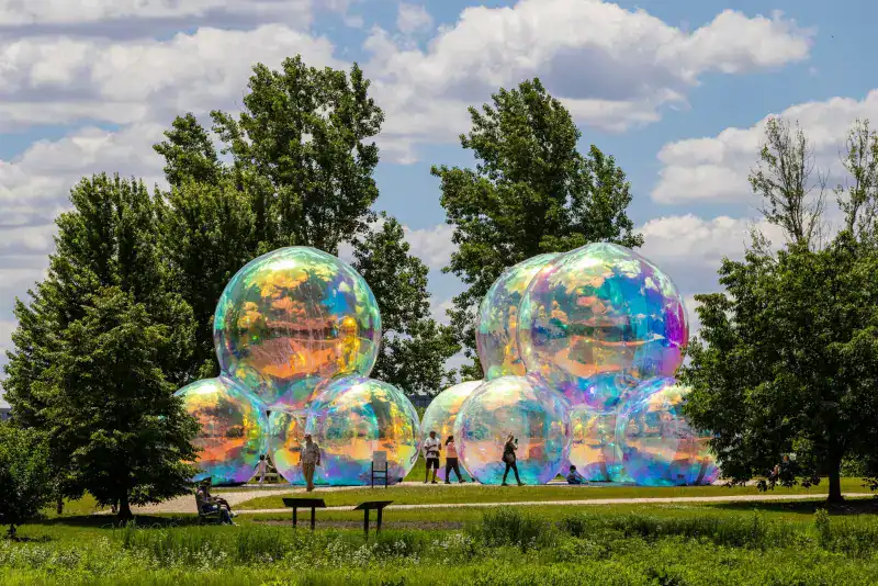 Shimmering-Summer-chicago-botanic-garden