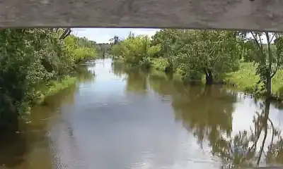 rzeka-des-plaines