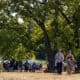 Cider-and-Ale festival Morton arboretum