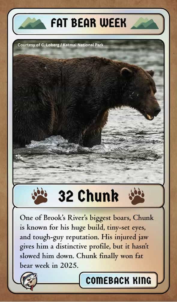 fat bear week