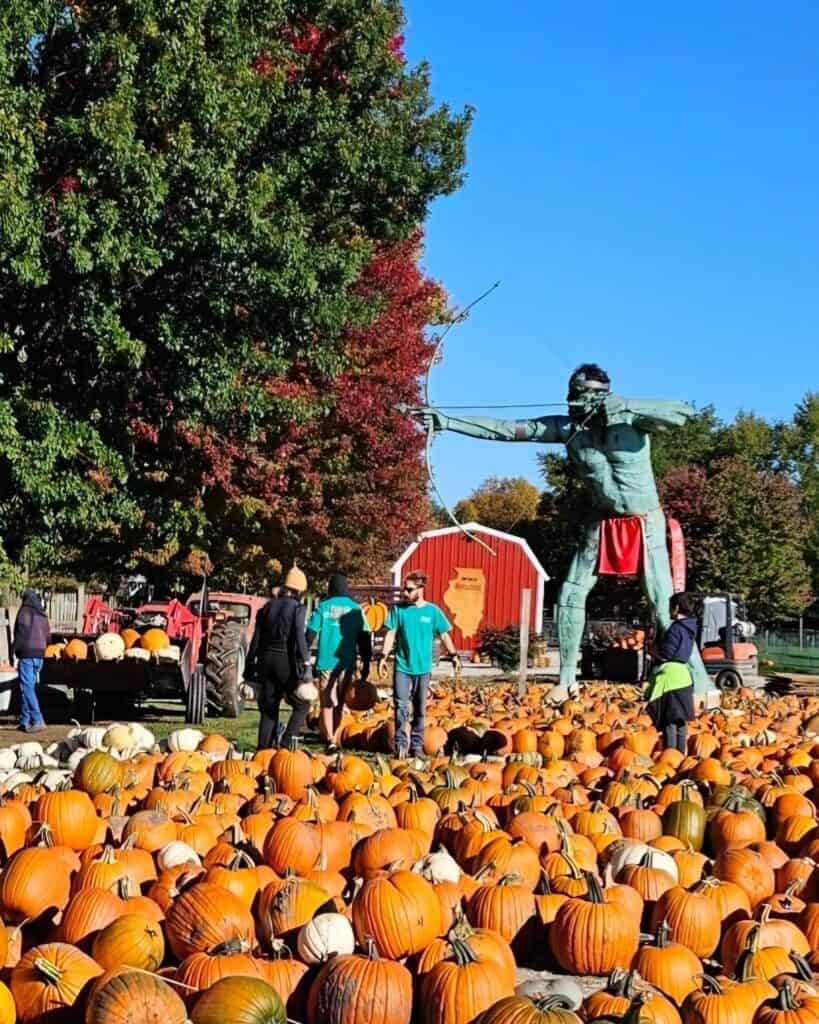 Curtis Orchard