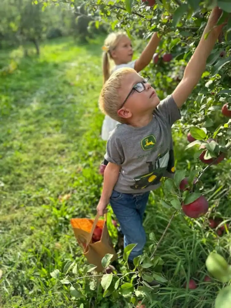 Honey Hill Orchard