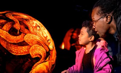 Night of 1,000 Jack-o'-Lanterns