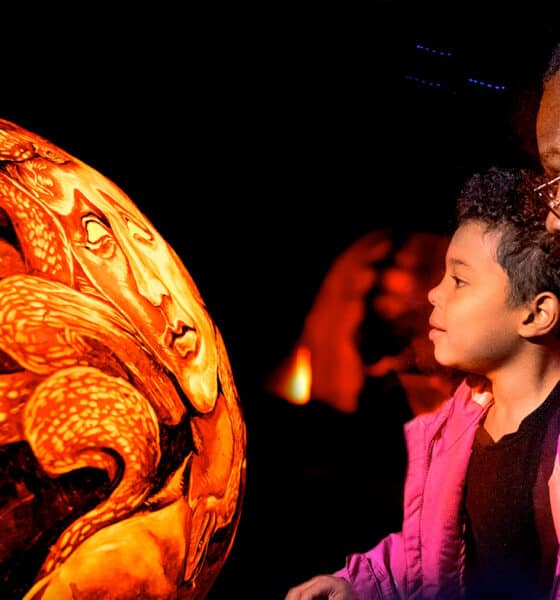 Night of 1,000 Jack-o'-Lanterns
