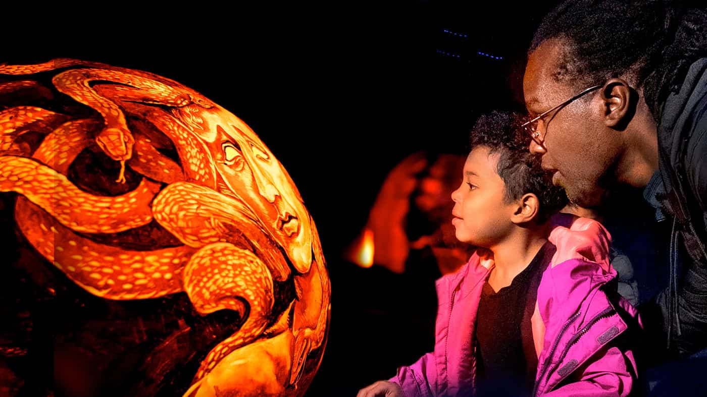 Night of 1,000 Jack-o'-Lanterns