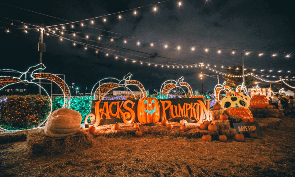 Jack’s Pumpkin Pop-Up