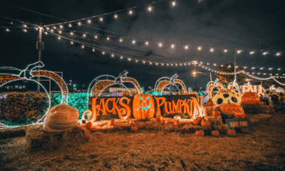 Jack’s Pumpkin Pop-Up