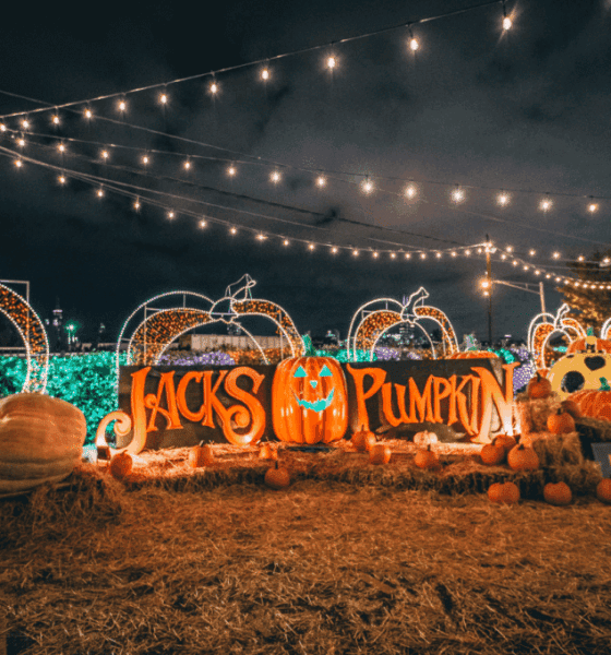 Jack’s Pumpkin Pop-Up