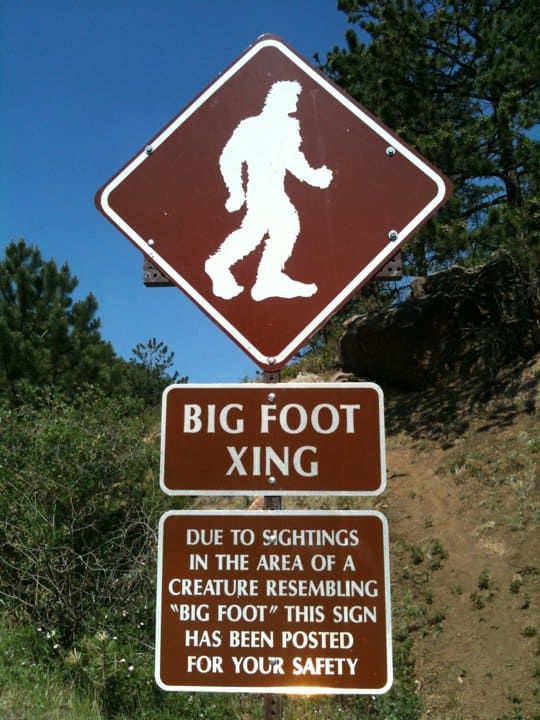 bigfoot wielka stopa