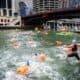 Chicago River Swim