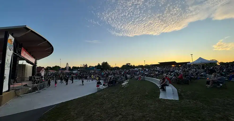 buffalo grove days