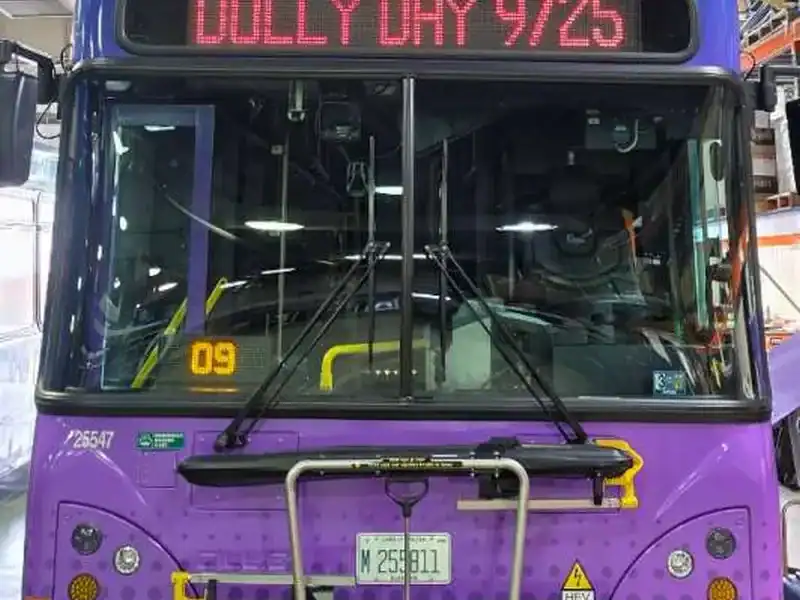 pace-dolly-day