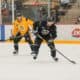Pittsburgh Penguins
