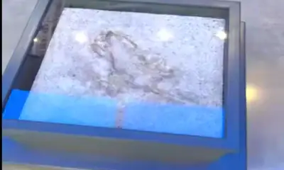 Chicago Rat Hole
