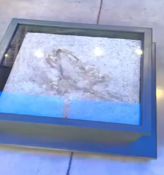 Chicago Rat Hole