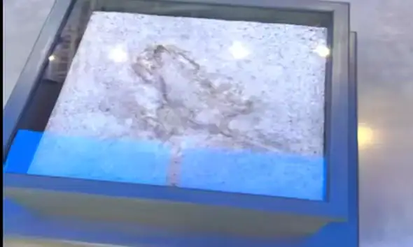 Chicago Rat Hole