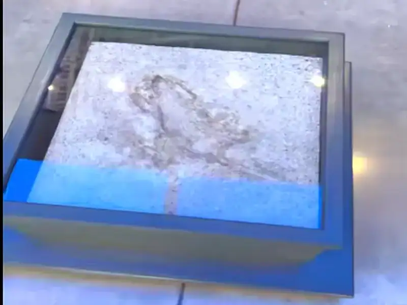 Chicago Rat Hole