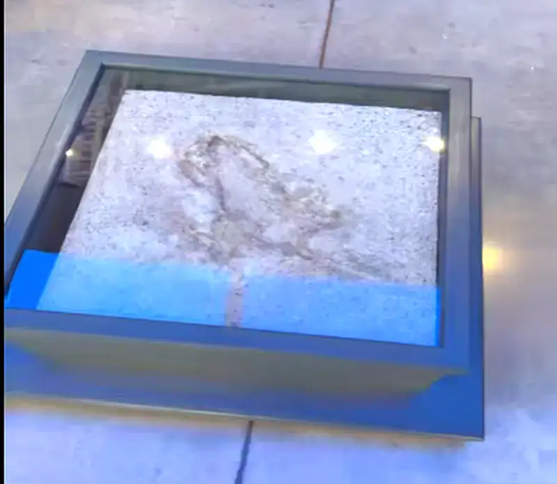 Chicago Rat Hole