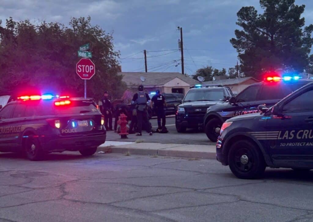 Homeland Security Investigations