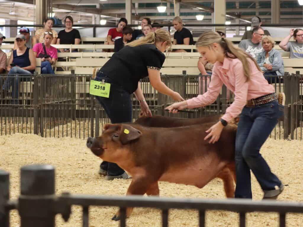 Illinois State Fair