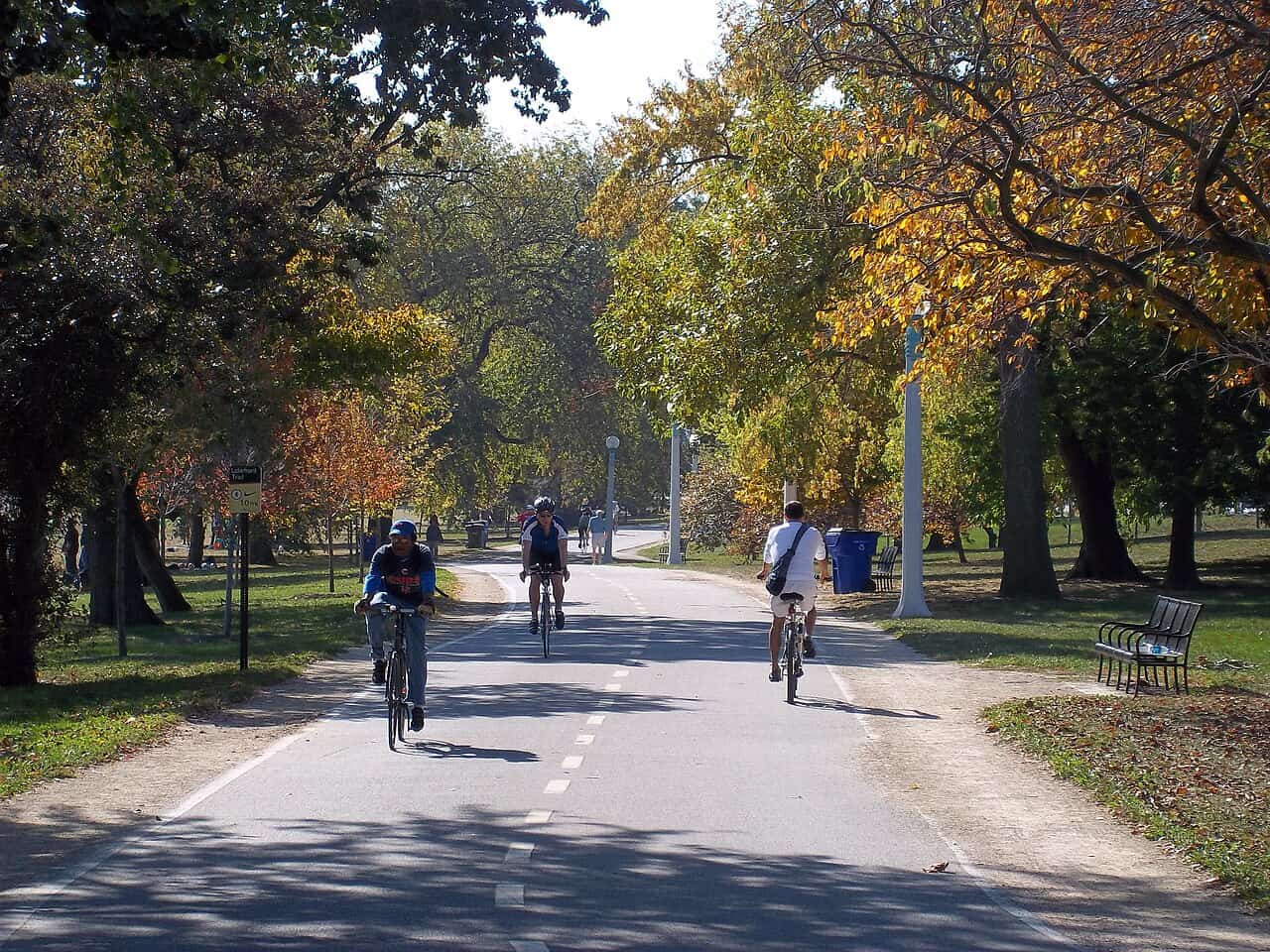 lakefront trail