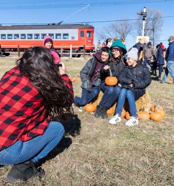 Pumpkin-Train