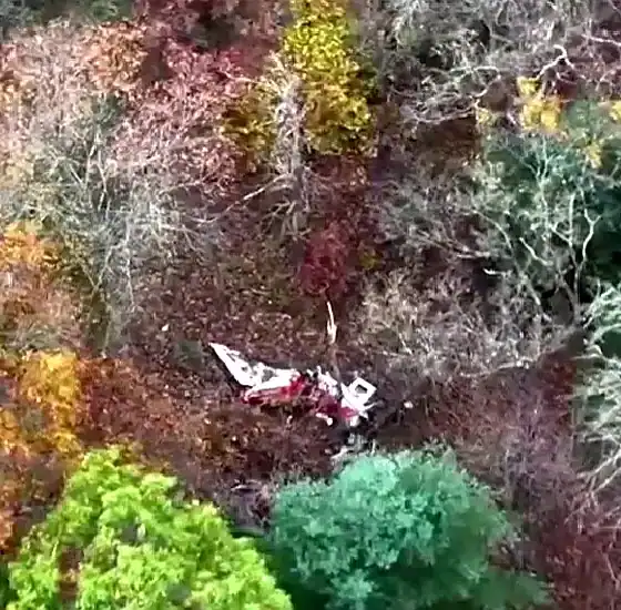 dellona-plane-crash