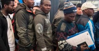 imigranci z haiti