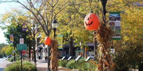Mount Prospect