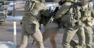 alex pretti 13stycznia