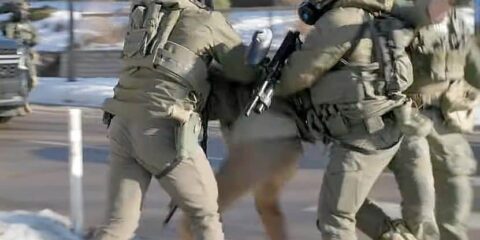 alex pretti 13stycznia