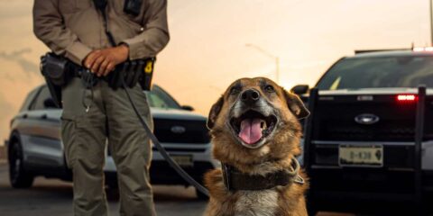 Illinois State Police